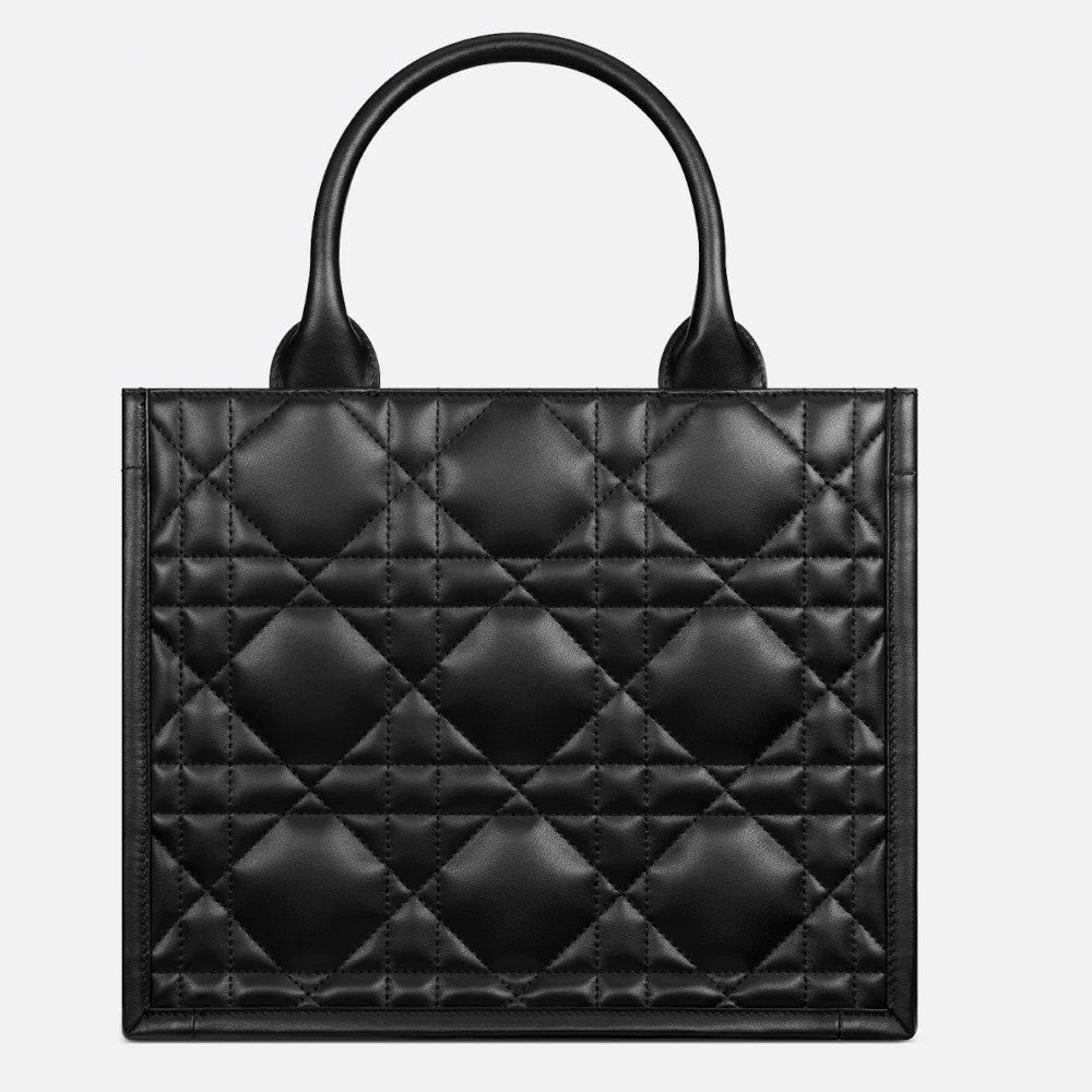 Small Dior Book Tote