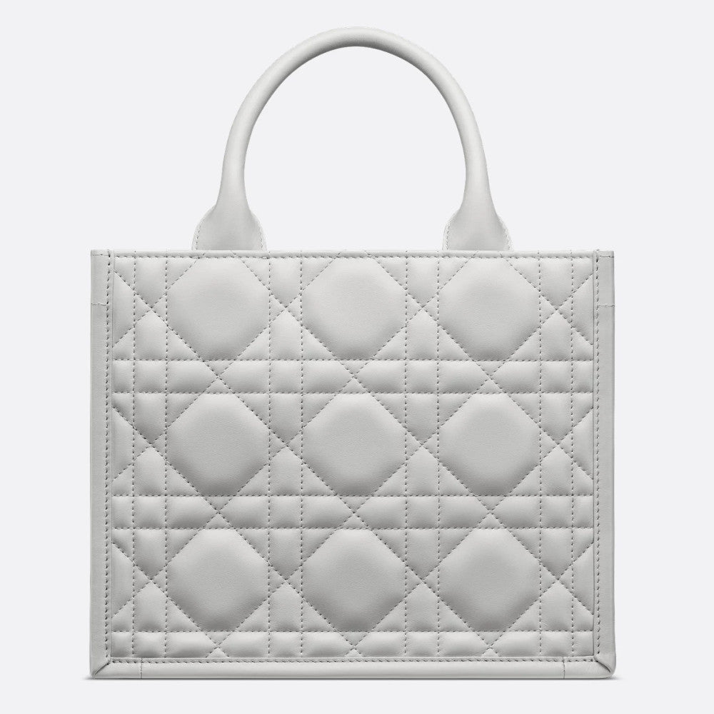 Small Dior Book Tote