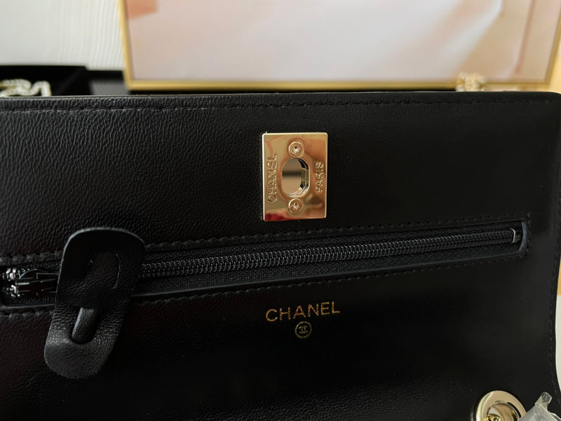 The Arid Bag Shop new Luxury  - Chanel Bags - 384