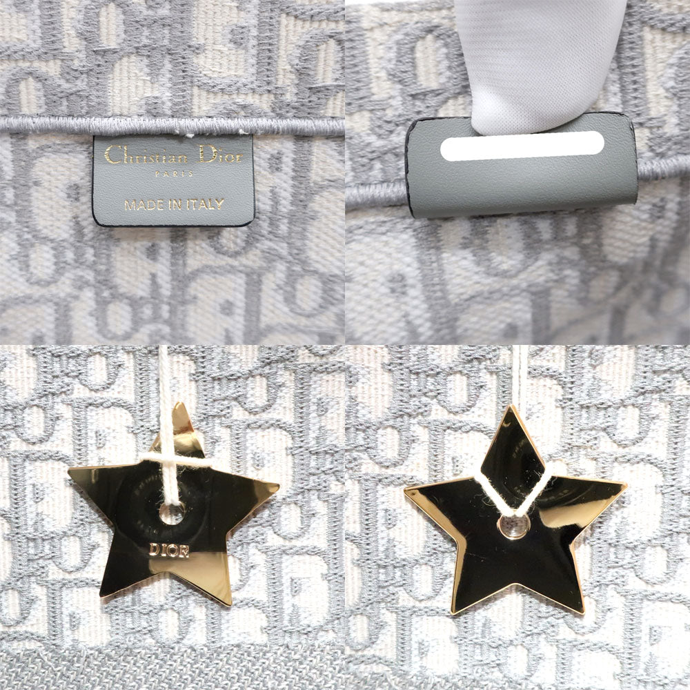 Oblique Canvas Large Book Tote