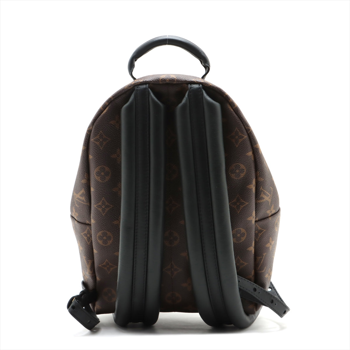 Louis Vuitton Monogram Palm Springs Backpack PM M41560