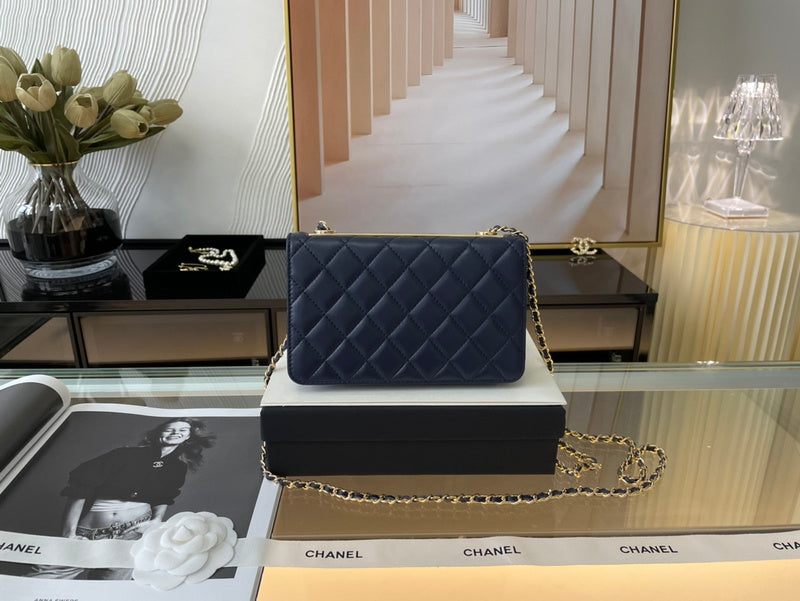 The Arid Bag Shop new Luxury  - Chanel Bags - 389