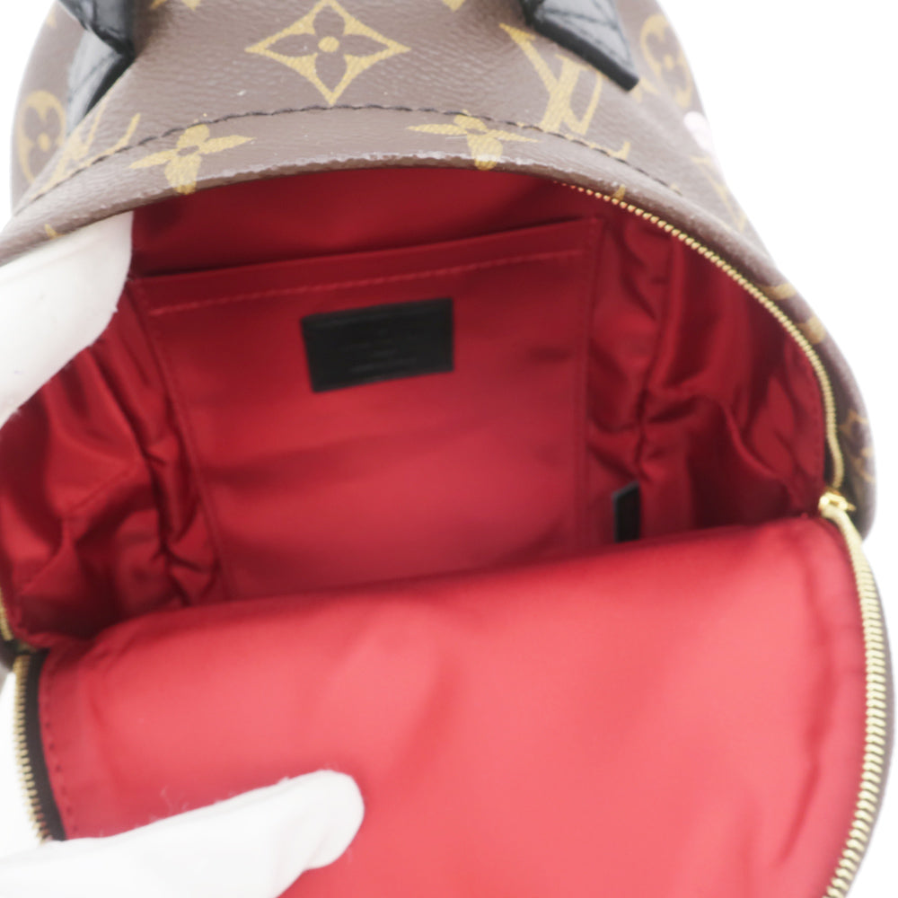 Louis Vuitton Palm Springs World Tour Backpack MINI M42971