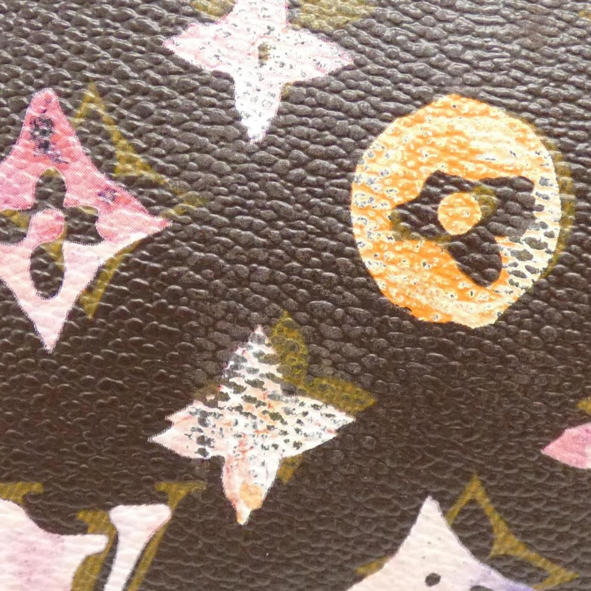 Louis Vuitton Monogram Water Colour Papillon 30cm M95753 Bag