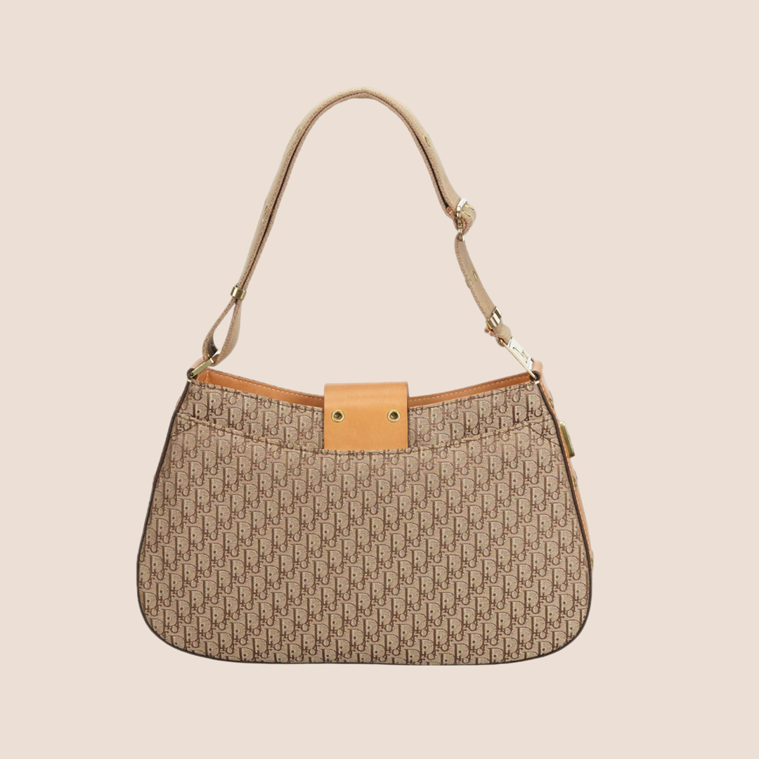 CHRISTIAN DIOR DIORISSIMO STREET CHIC HOBO BAG