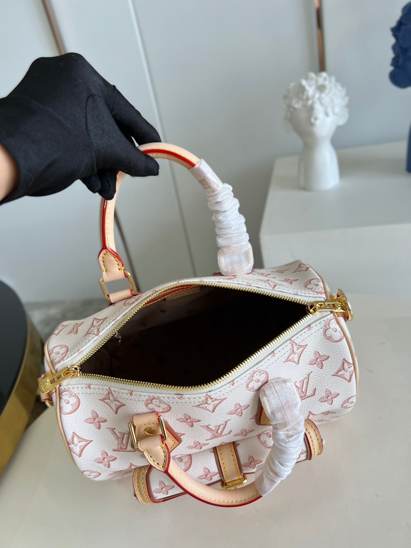 Louis Vuitton Speedy Bandoulière 25 Bag