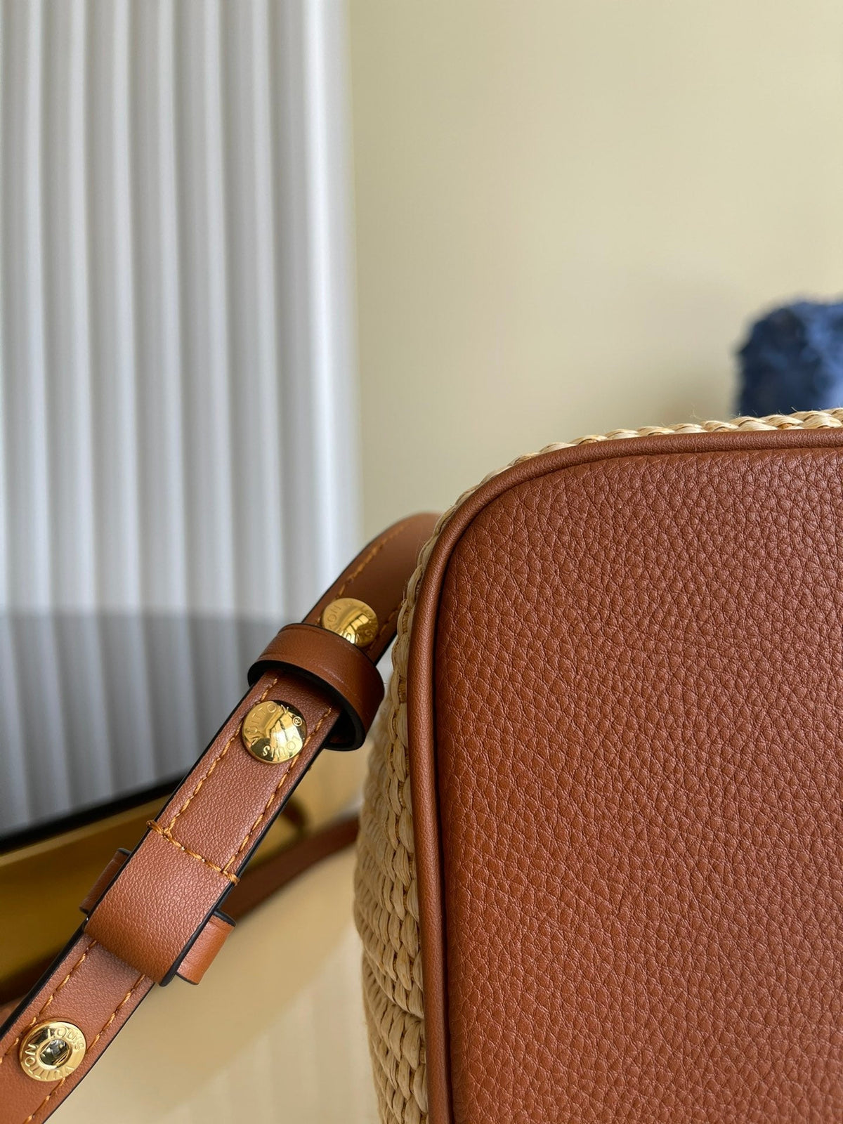 Louis Vuitton NeoNoe MM Bag