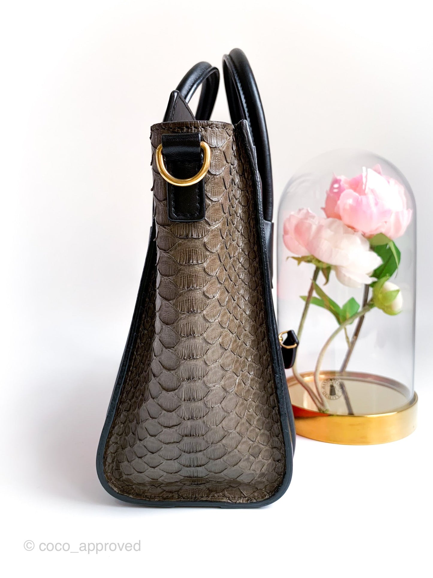 Celine Tri Color Python and Leather Nano Luggage Tote