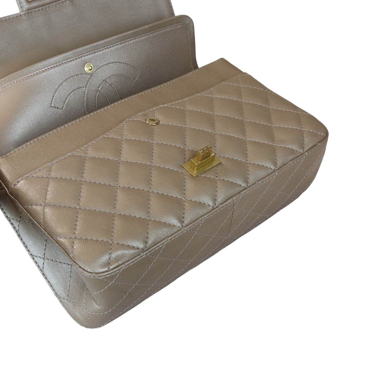 Reissue Medium 226 Iridescent Taupe-Beige GHW