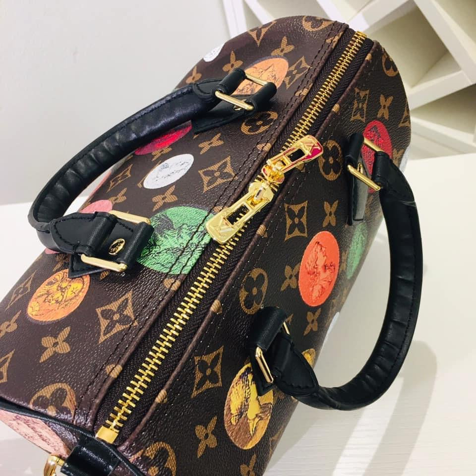Louis Vuitton Speedy Bandouliere 25 Bag