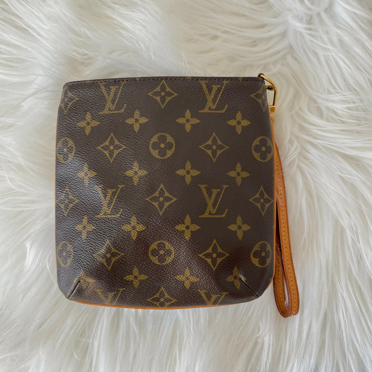 Louis Vuitton Partition Wristlet