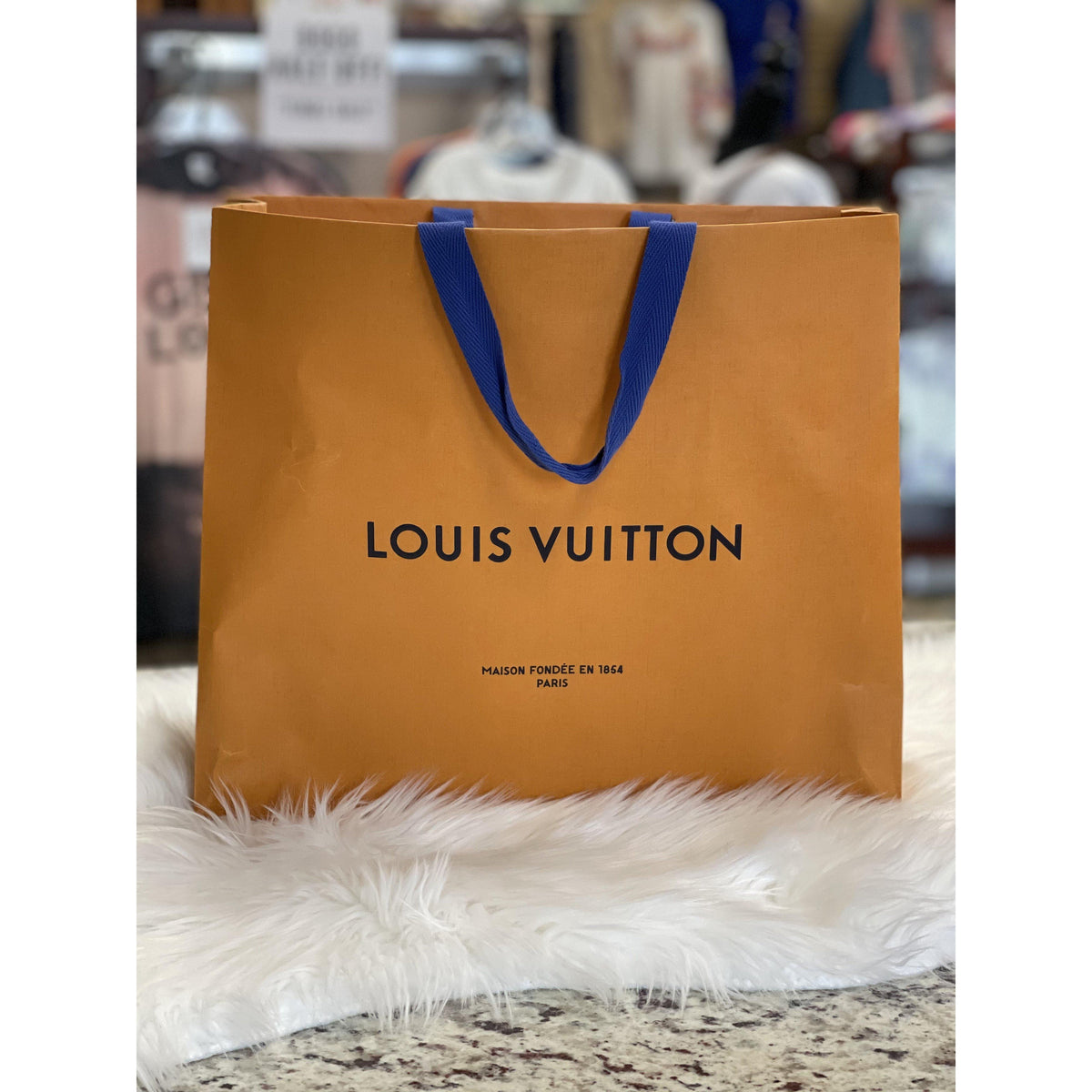 Louis Vuitton Neverfull MM in Damier Ebene Rose Ballerine