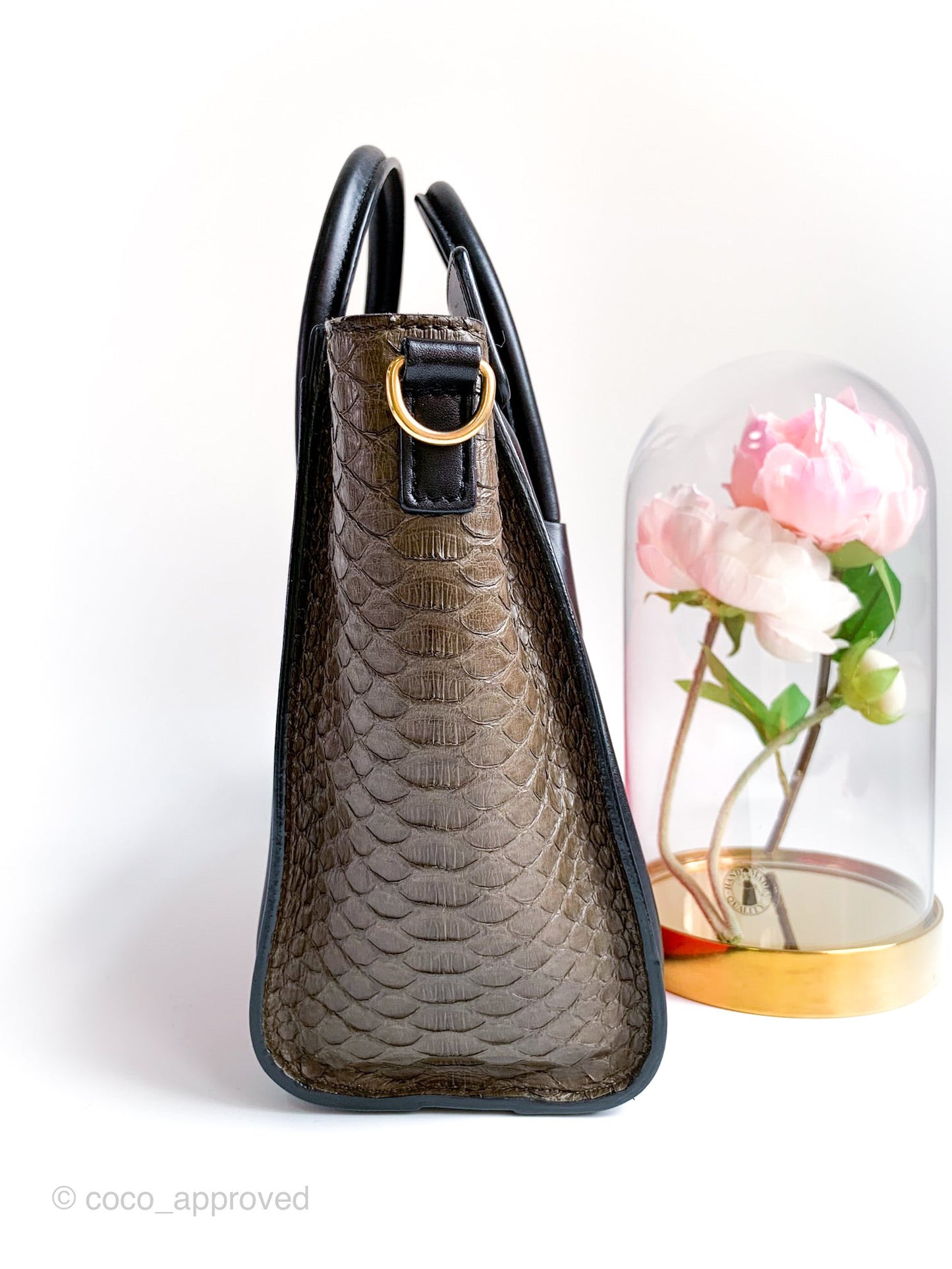Celine Tri Color Python and Leather Nano Luggage Tote