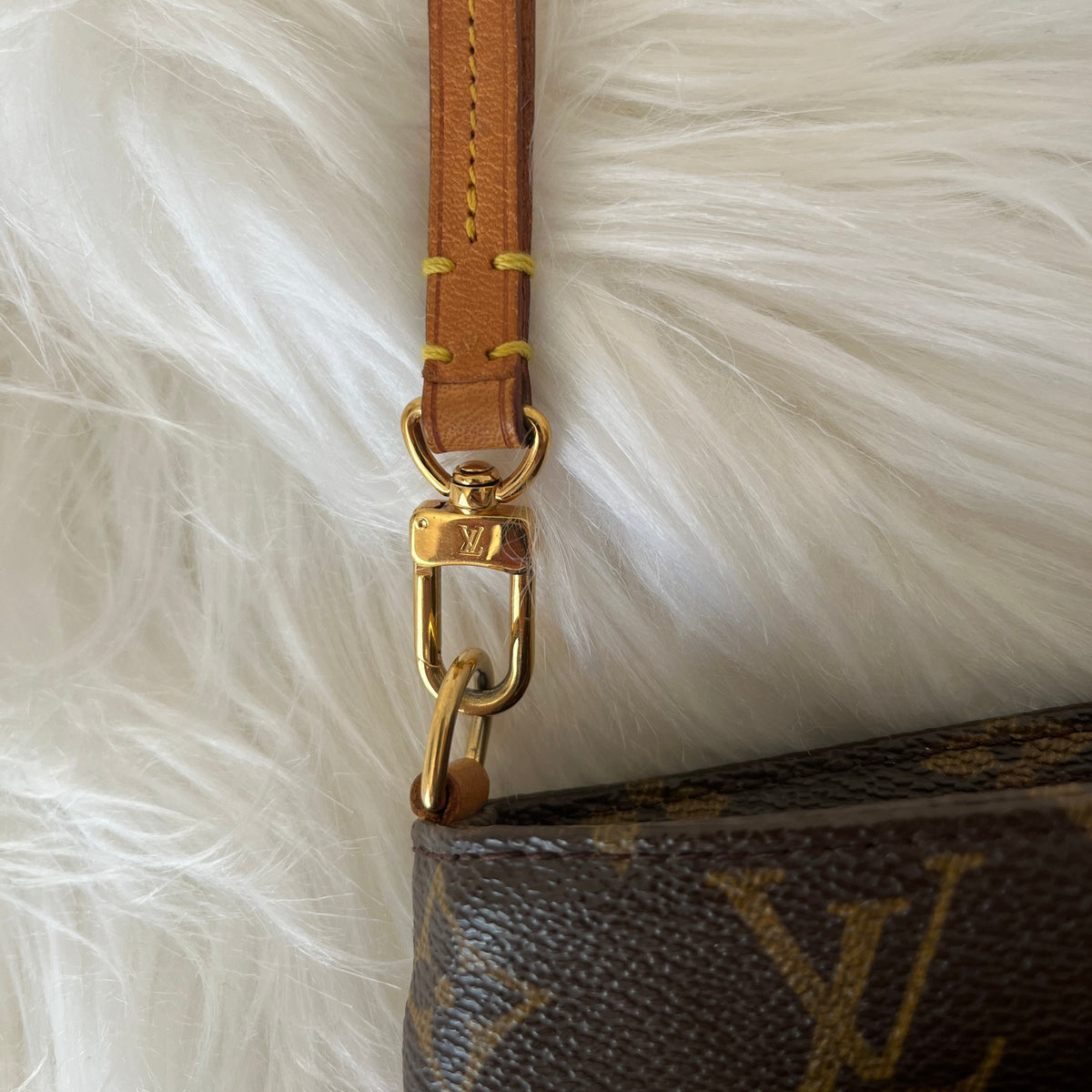 Louis Vuitton Partition Wristlet