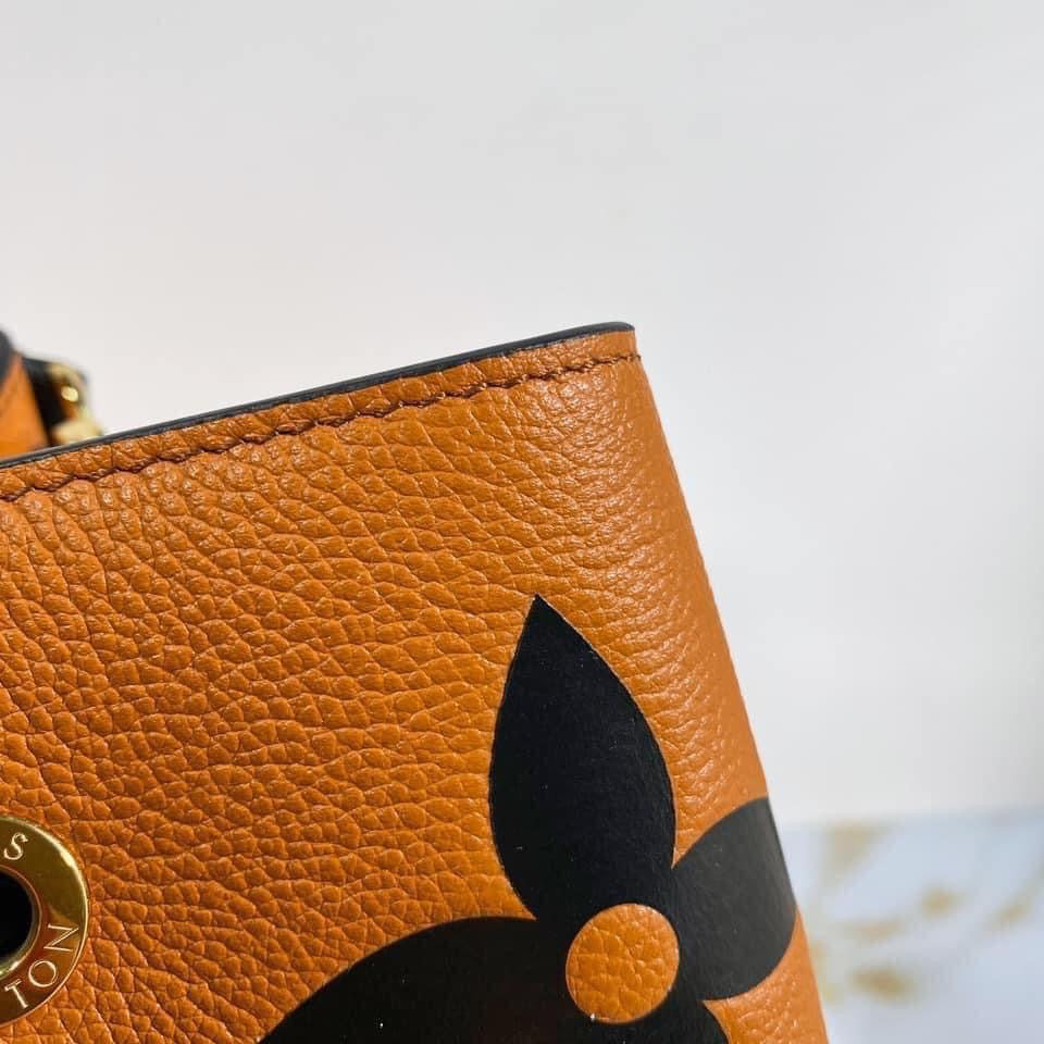 Louis Vuitton NeoNoe Craffty MM Bag