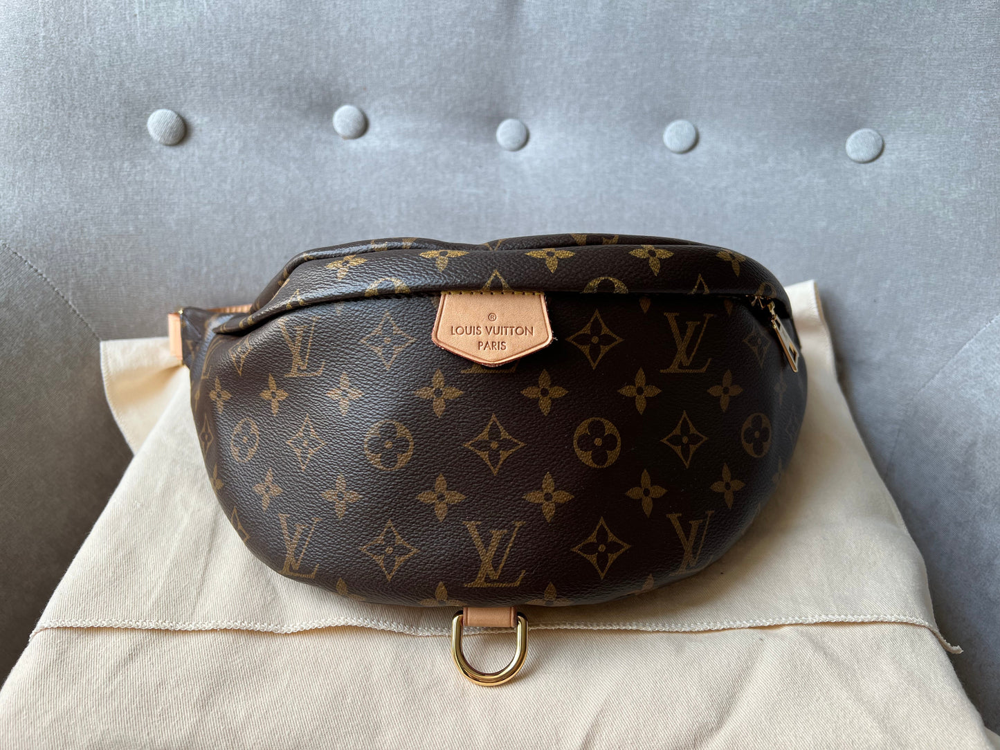 Louis Vuitton BumBag in Monogram Canvas