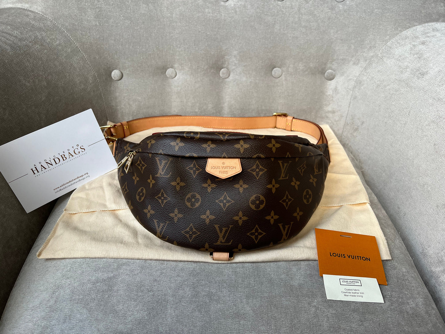 Louis Vuitton BumBag in Monogram Canvas
