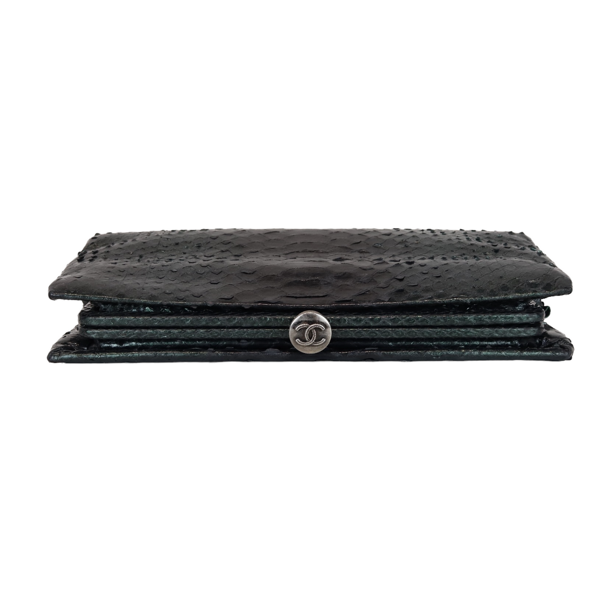 Exotic Python Clutch Green RHW