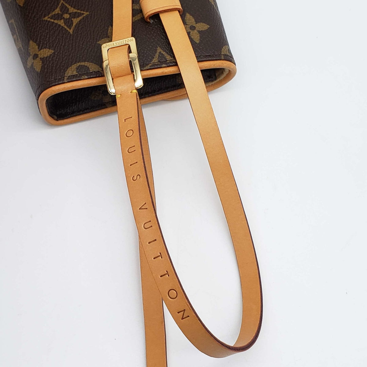 Louis Vuitton Pochette Florentine Browns Monogram Belt Bag
