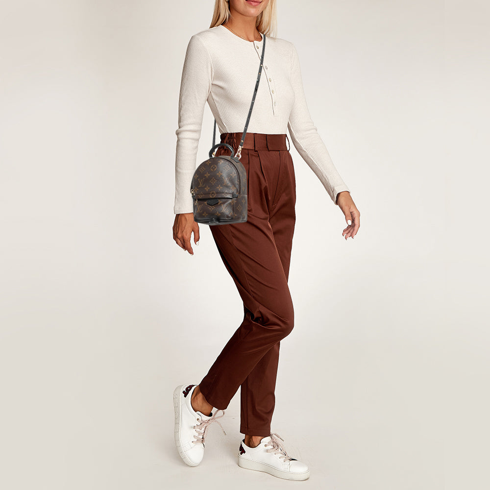 LOUIS VUITTON Monogram Canvas Mini Palm Springs Backpack