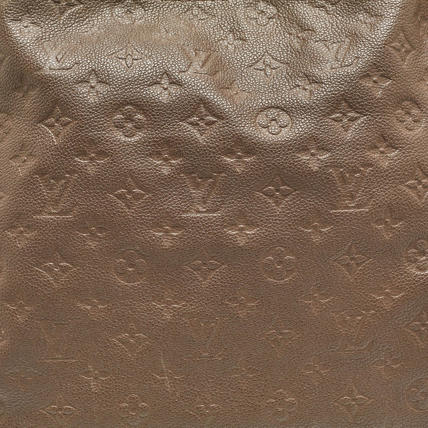 LOUIS VUITTON Terre Monogram Empreinte Leather Artsy MM Bag