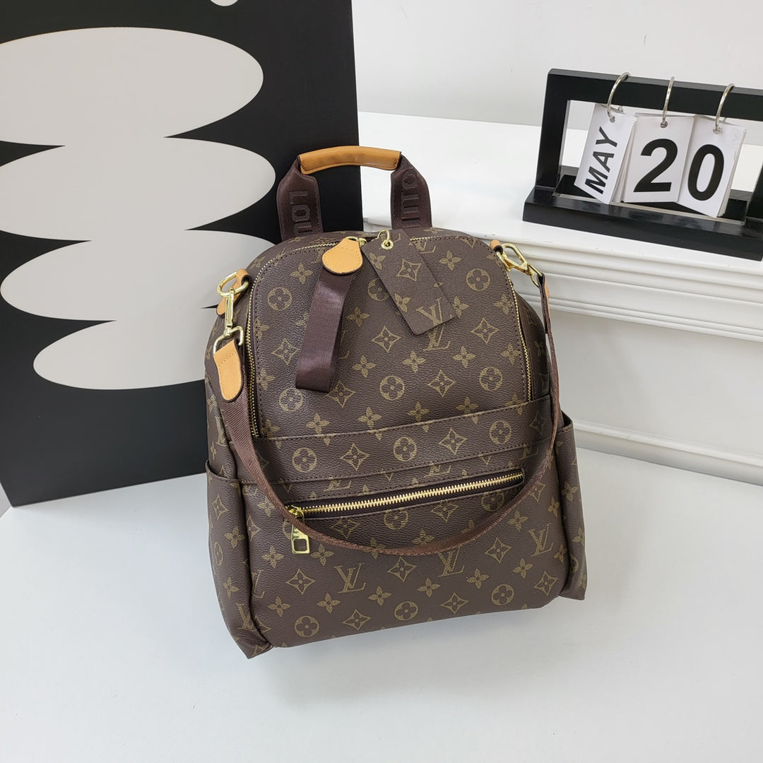 Louis Vuitton / Gucci handbags ( backpack)