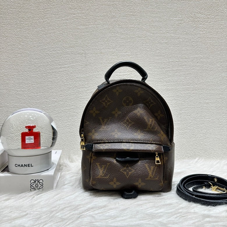 preloved lv palm spring mini