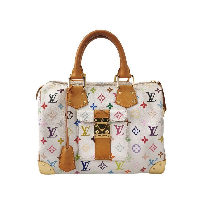 Louis Vuitton Speedy Multicolor Bag