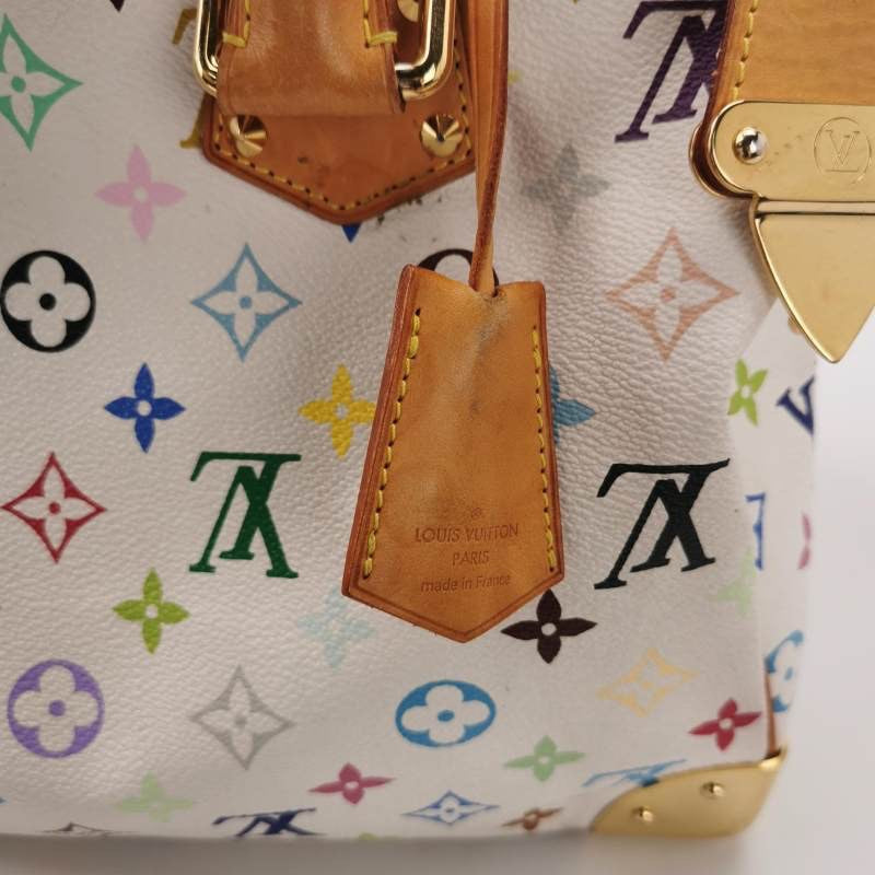 Louis Vuitton Speedy Multicolor Bag
