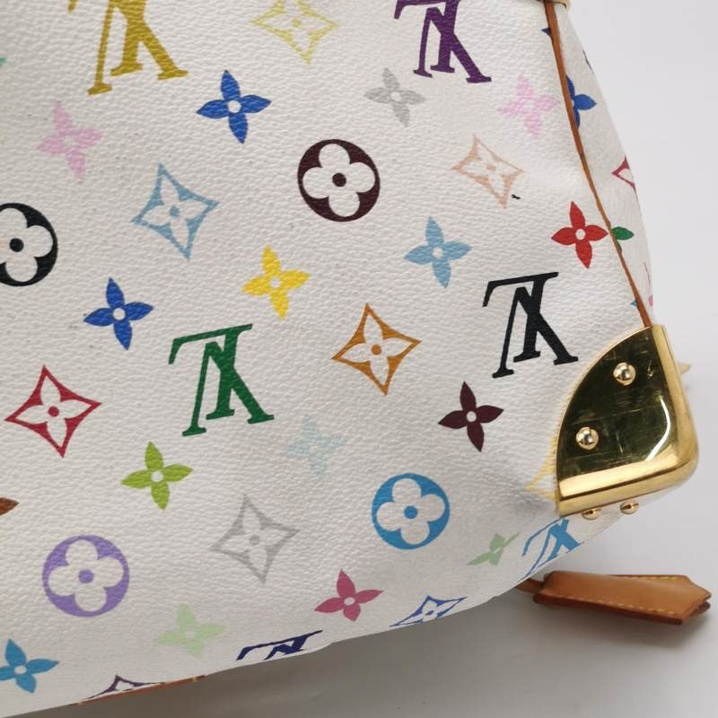 Louis Vuitton Speedy Multicolor Bag