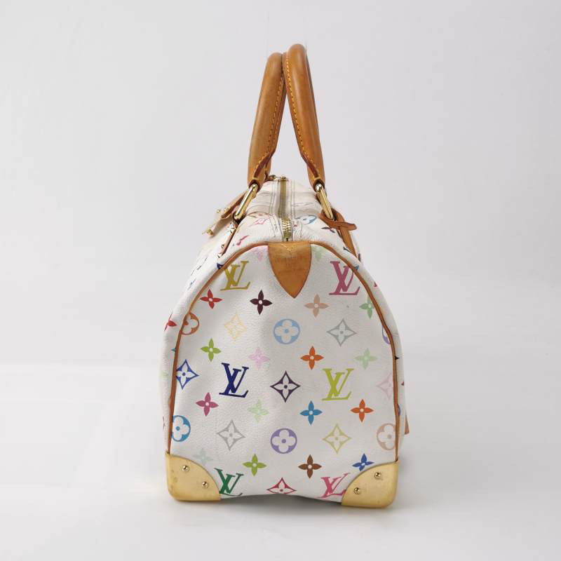 Louis Vuitton Speedy Multicolor Bag