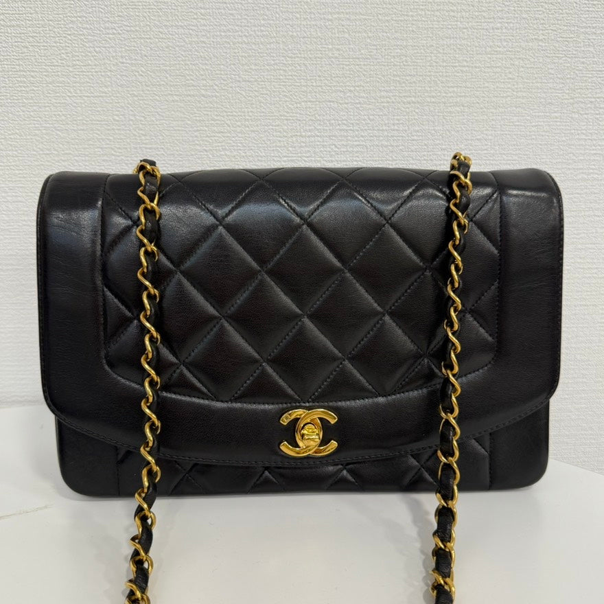 Vintage Chanel Lambskin Diana Chain Crossbody FM0028