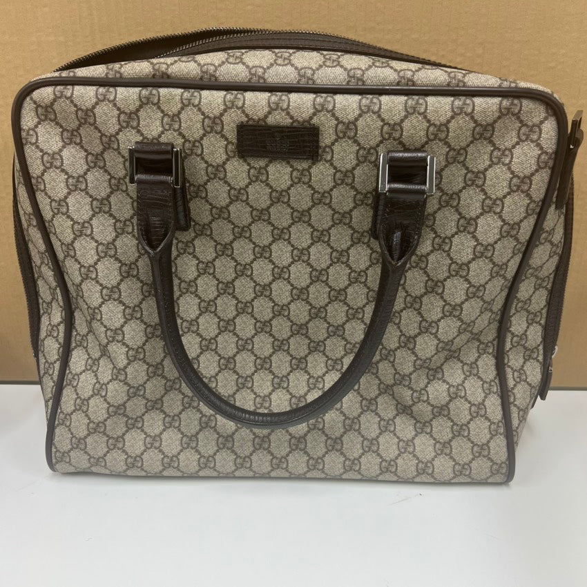 Gucci hand bag E