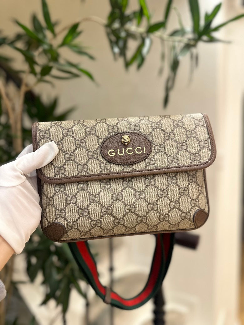 Gucci bag BZS