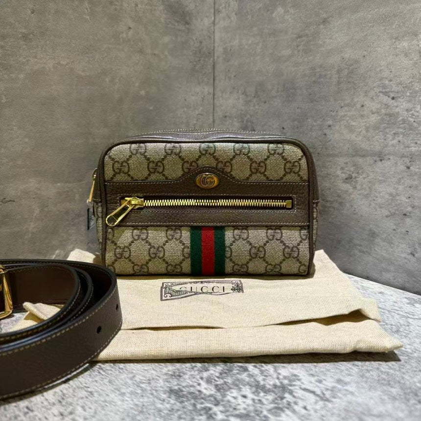 ❤️‍🔥gucci bumbag monogram