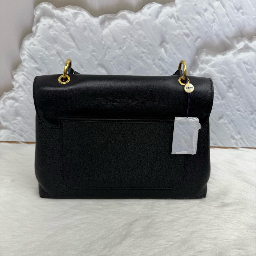 Preloved LV Louis Vuitton Bag