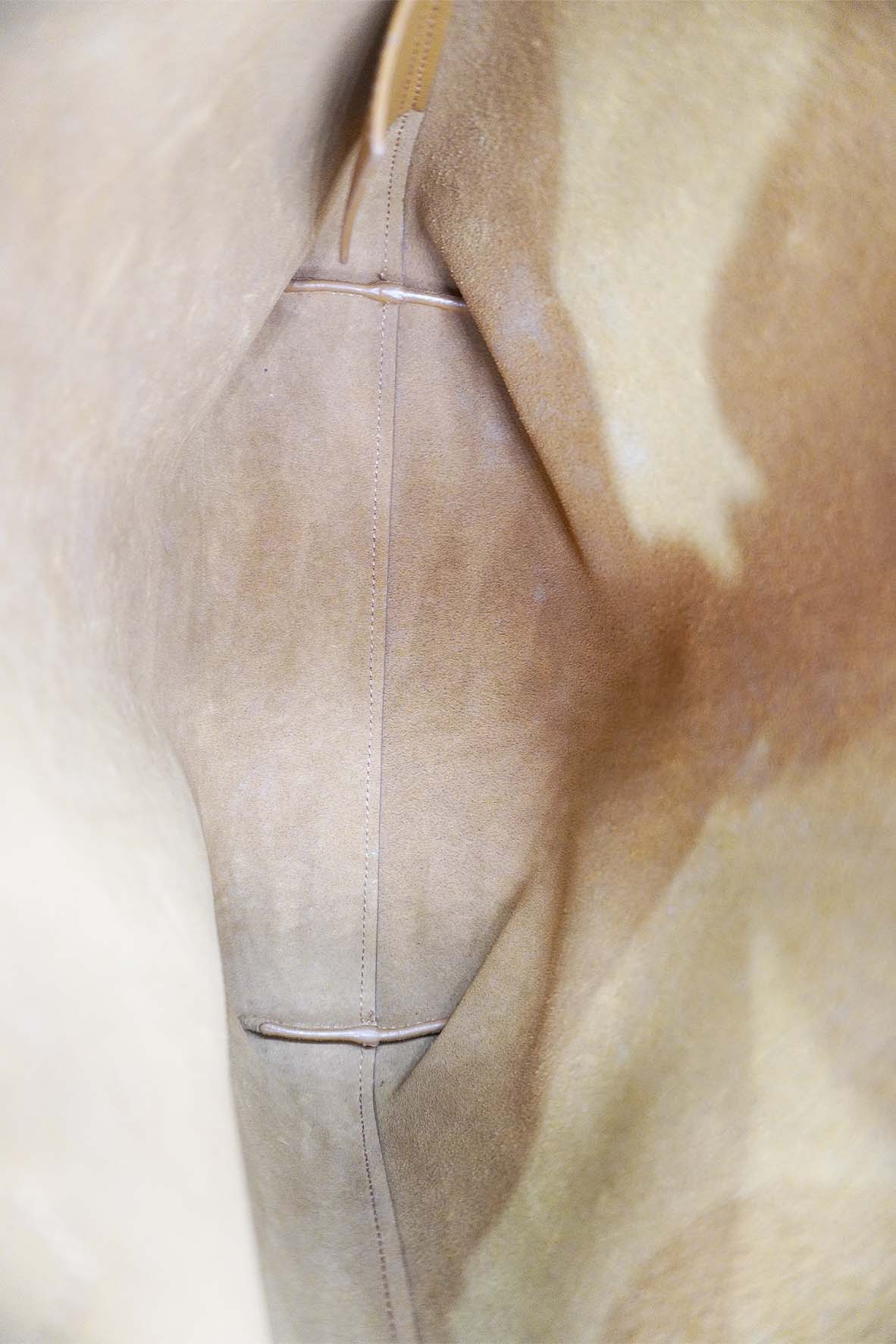 Toy N/S Avec Tass Shopping Tote Tan