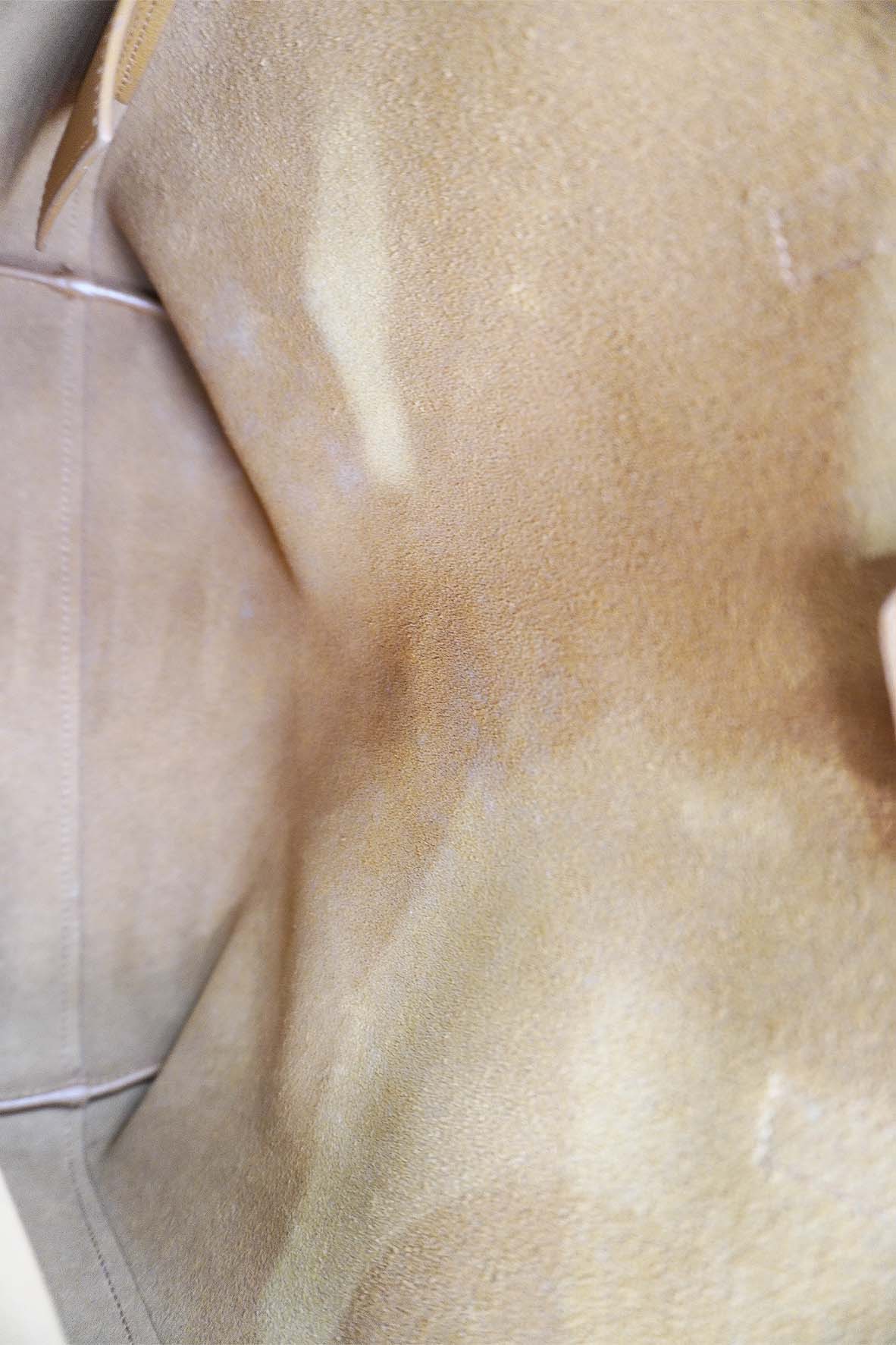 Toy N/S Avec Tass Shopping Tote Tan