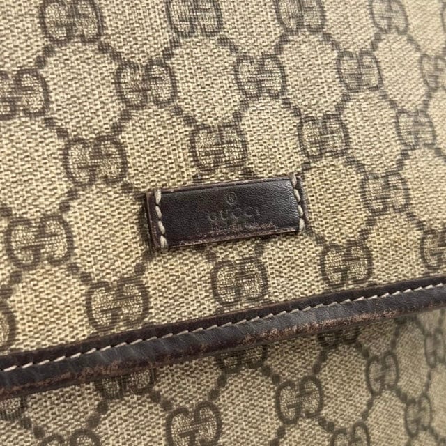 Gucci GG Canvas Brown Web Crossbody