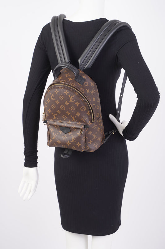 Louis Vuitton Palms Spring Backpack Monogram PM